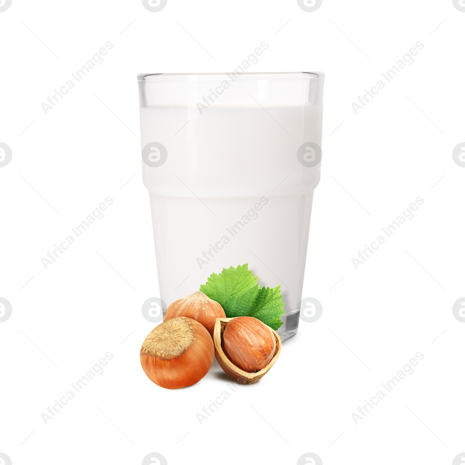 Nut milk in glass and hazelnuts isolated on white Image of Nut milk in glass and hazelnuts isolated on white