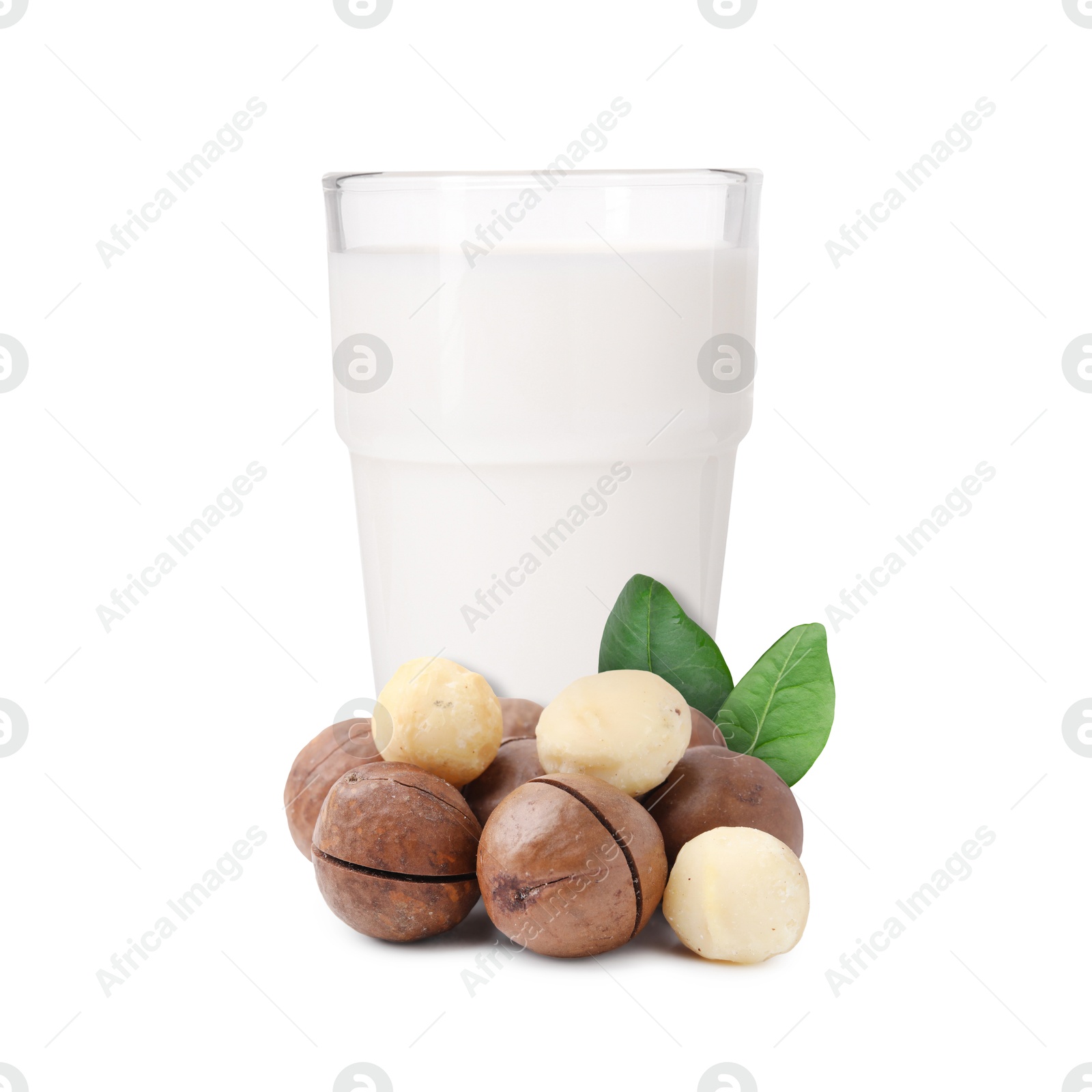 Nut milk in glass and macadamias isolated on white Image of Nut milk in glass and macadamias isolated on white