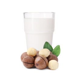 Image of Nut milk in glass and macadamias isolated on white