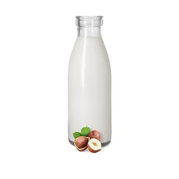 Image of Nut milk in glass bottle and hazelnuts isolated on white