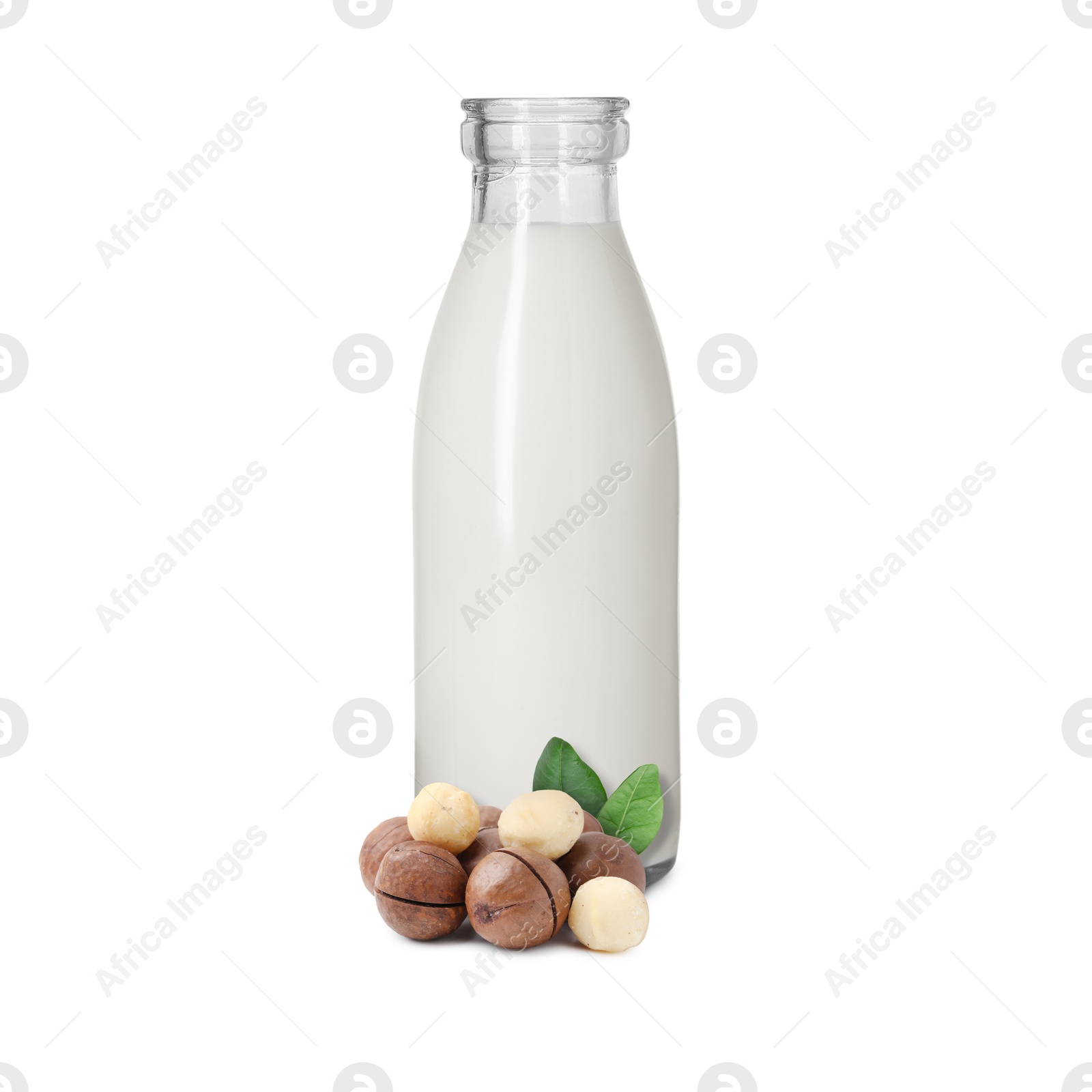 Nut milk in glass bottle and macadamias isolated on white Image of Nut milk in glass bottle and macadamias isolated on white