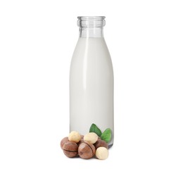 Image of Nut milk in glass bottle and macadamias isolated on white