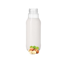 Image of Nut milk in glass bottle and hazelnuts isolated on white