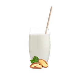 Image of Nut milk in glass and Brazil nuts isolated on white