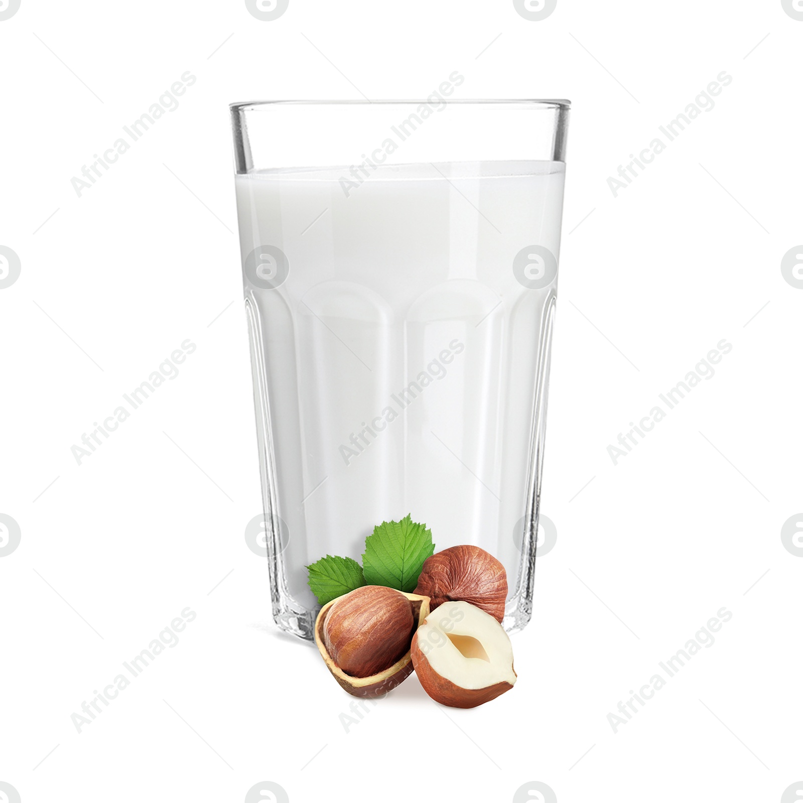 Nut milk in glass and hazelnuts isolated on white Image of Nut milk in glass and hazelnuts isolated on white