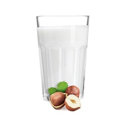 Image of Nut milk in glass and hazelnuts isolated on white
