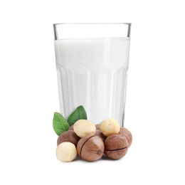 Image of Nut milk in glass and macadamias isolated on white