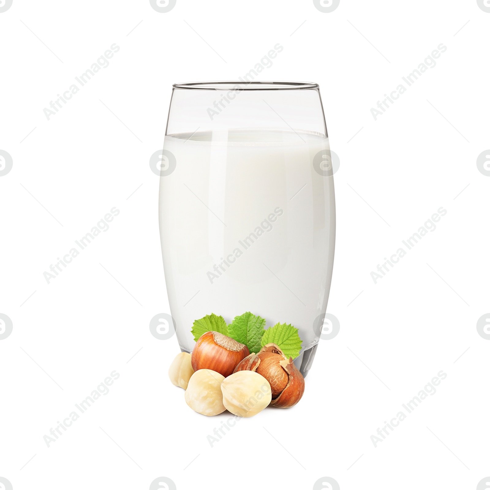 Nut milk in glass and hazelnuts isolated on white Image of Nut milk in glass and hazelnuts isolated on white