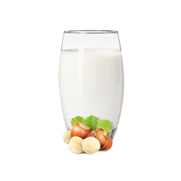 Image of Nut milk in glass and hazelnuts isolated on white