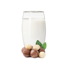 Image of Nut milk in glass and macadamias isolated on white