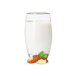 Image of Nut milk in glass and Brazil nuts isolated on white