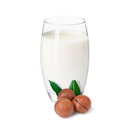Image of Nut milk in glass and macadamias isolated on white
