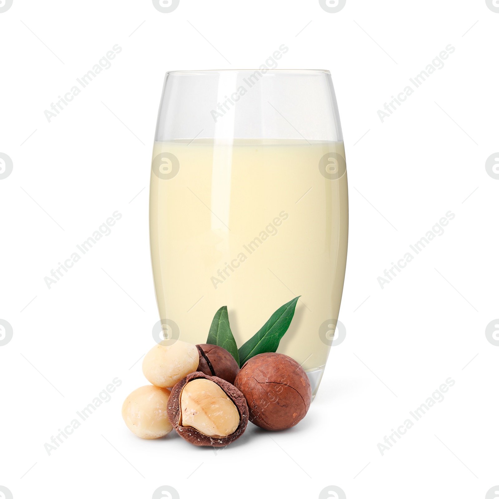 Nut milk in glass and macadamias isolated on white Image of Nut milk in glass and macadamias isolated on white