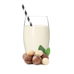 Image of Nut milk in glass and macadamias isolated on white