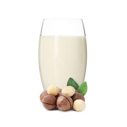Image of Nut milk in glass and macadamias isolated on white