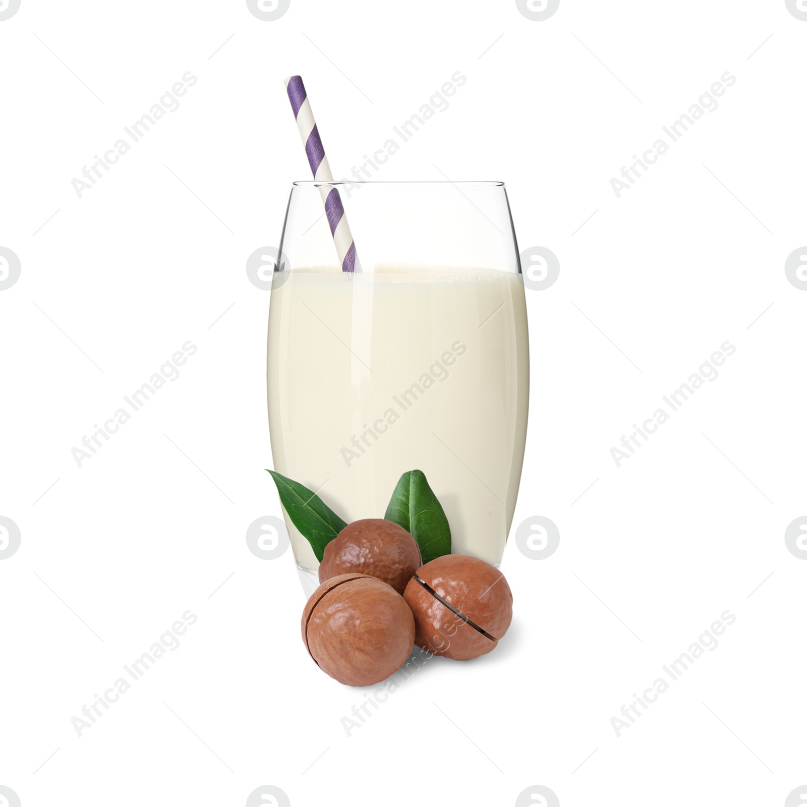 Nut milk in glass and macadamias isolated on white Image of Nut milk in glass and macadamias isolated on white