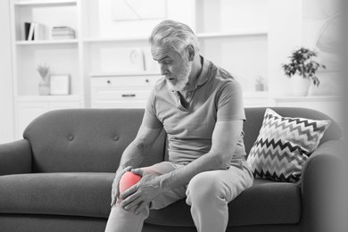 Image of Arthritis. Senior man suffering from pain in knee on sofa at home. Black and white toning with red color accent