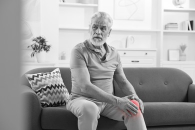 Image of Arthritis. Senior man suffering from pain in knee on sofa at home. Black and white toning with red color accent