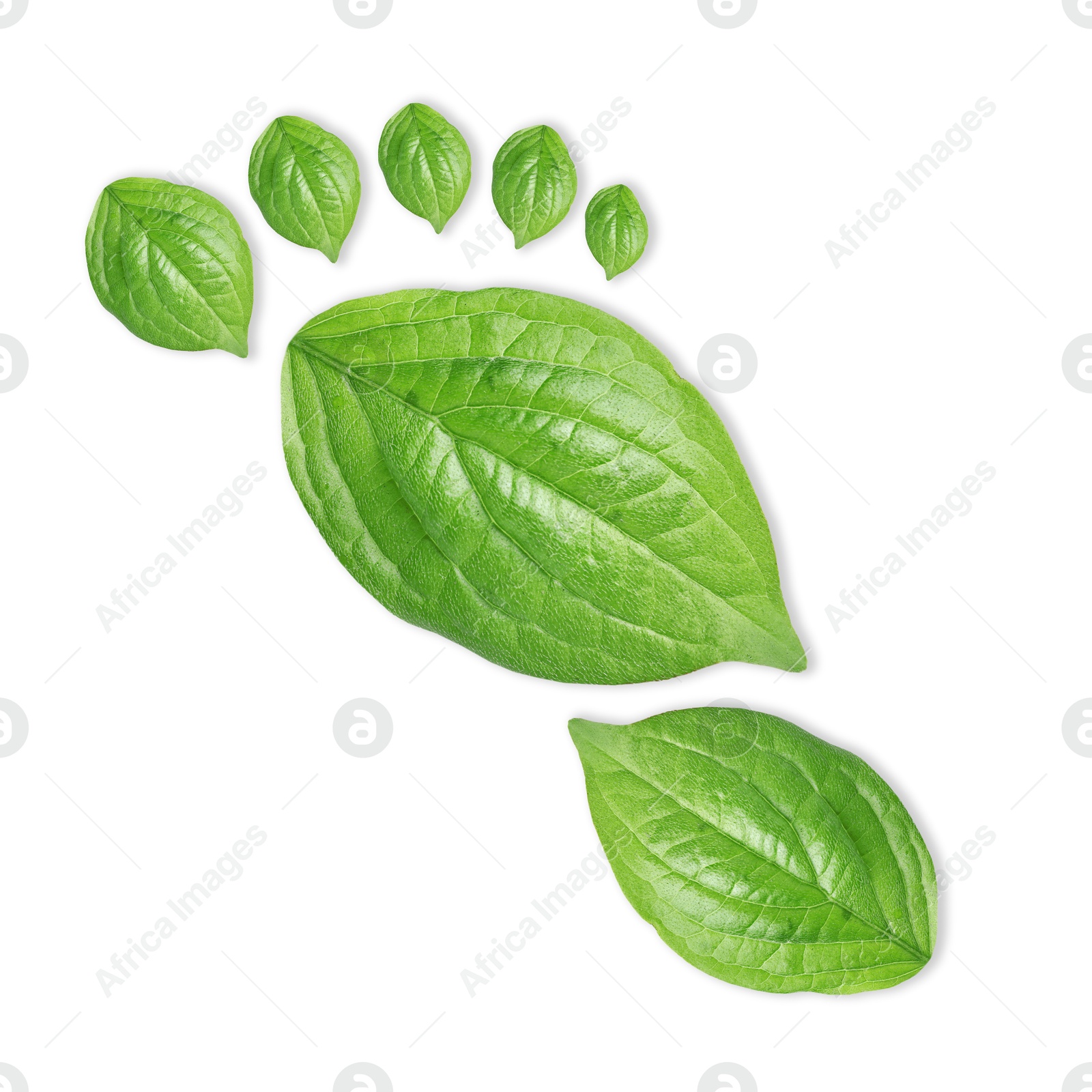 Human footprint made of green leaves on white background, top view. Environmental care, ecology protection, reducing CO2 emission Image of Human footprint made of green leaves on white background, top view. Environmental care, ecology protection, reducing CO2 emission