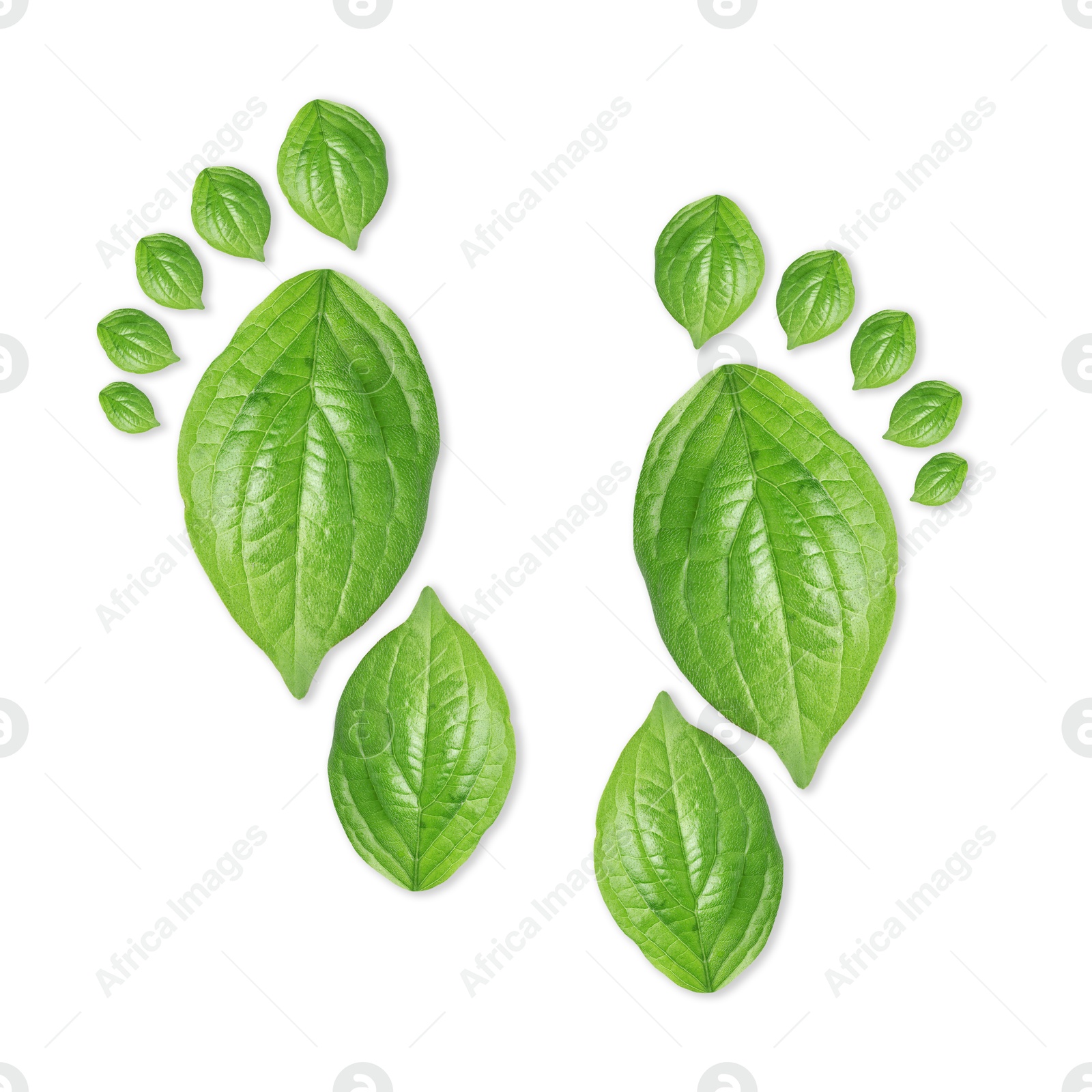 Human footprints made of green leaves on white background, top view. Environmental care, ecology protection, reducing CO2 emission Image of Human footprints made of green leaves on white background, top view. Environmental care, ecology protection, reducing CO2 emission