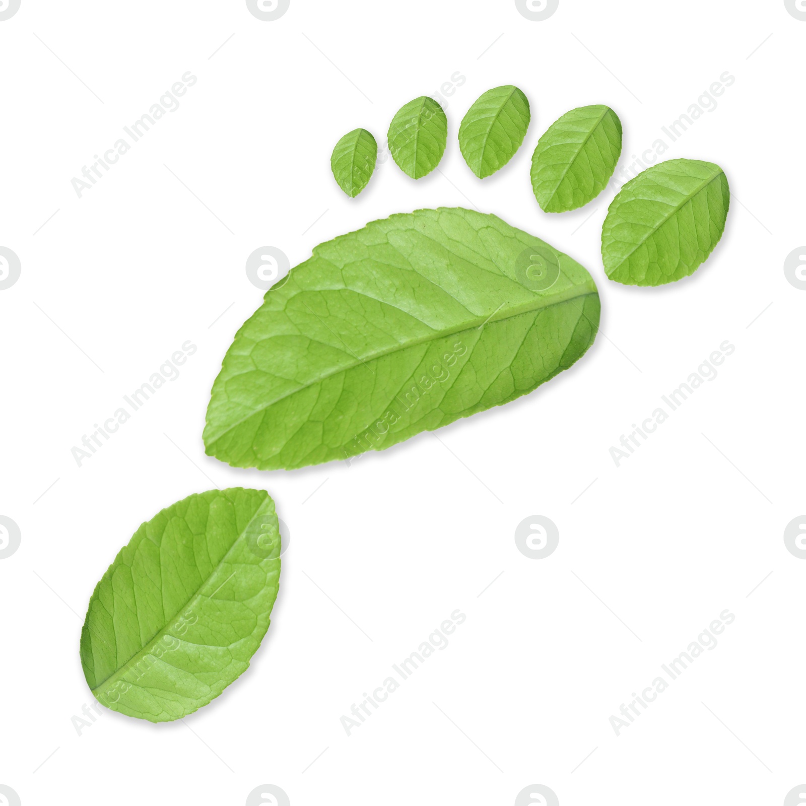 Human footprint made of green leaves on white background, top view. Environmental care, ecology protection, reducing CO2 emission Image of Human footprint made of green leaves on white background, top view. Environmental care, ecology protection, reducing CO2 emission