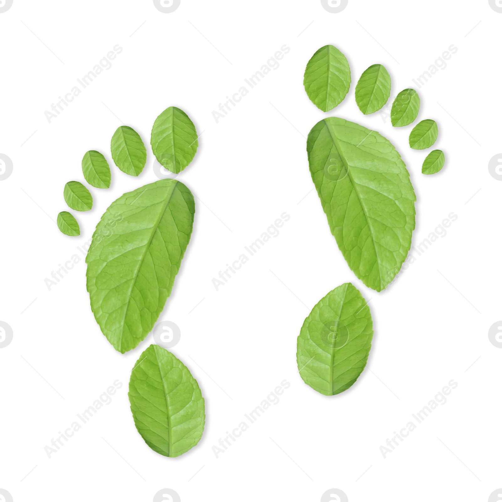 Human footprints made of green leaves on white background, top view. Environmental care, ecology protection, reducing CO2 emission Image of Human footprints made of green leaves on white background, top view. Environmental care, ecology protection, reducing CO2 emission