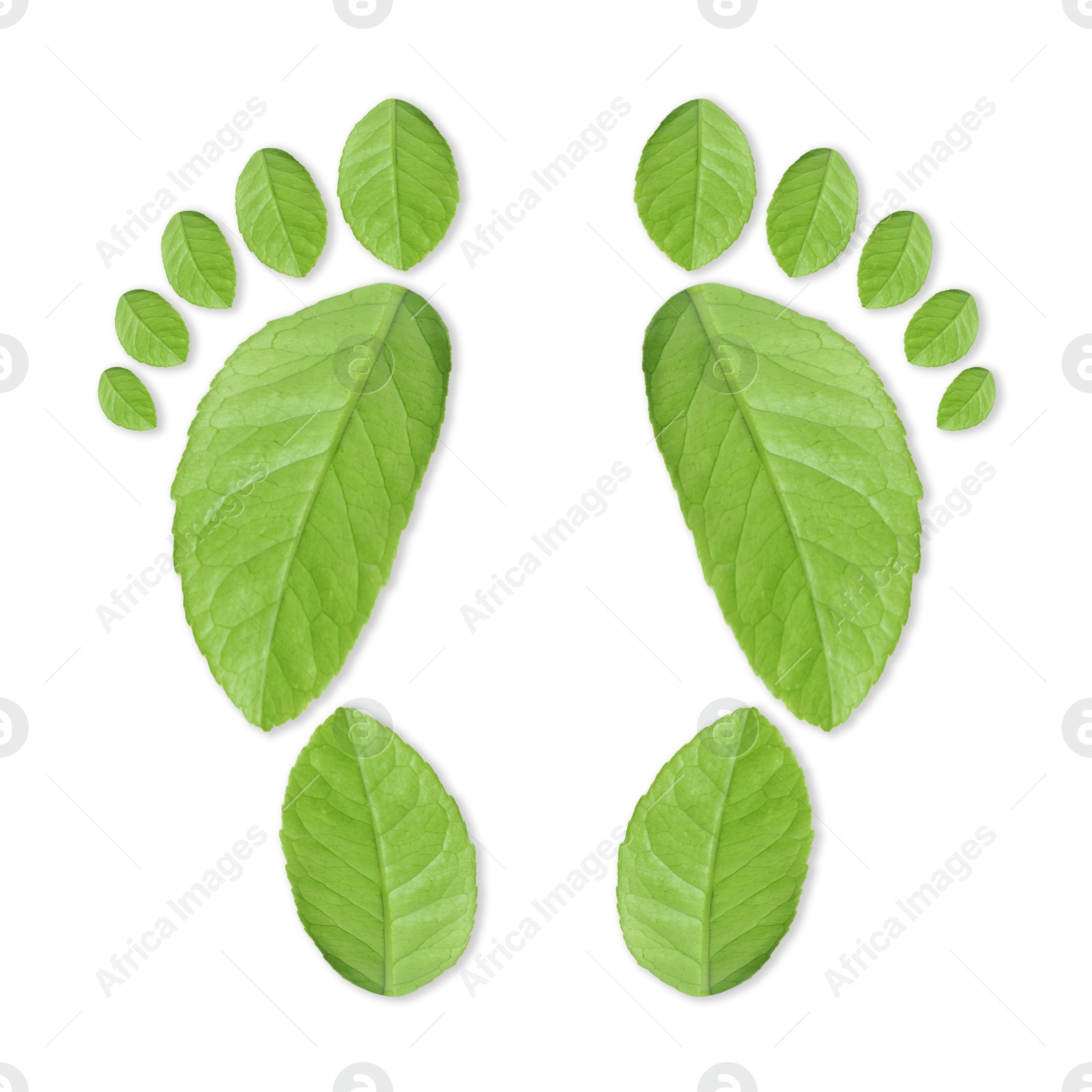 Human footprints made of green leaves on white background, top view. Environmental care, ecology protection, reducing CO2 emission Image of Human footprints made of green leaves on white background, top view. Environmental care, ecology protection, reducing CO2 emission