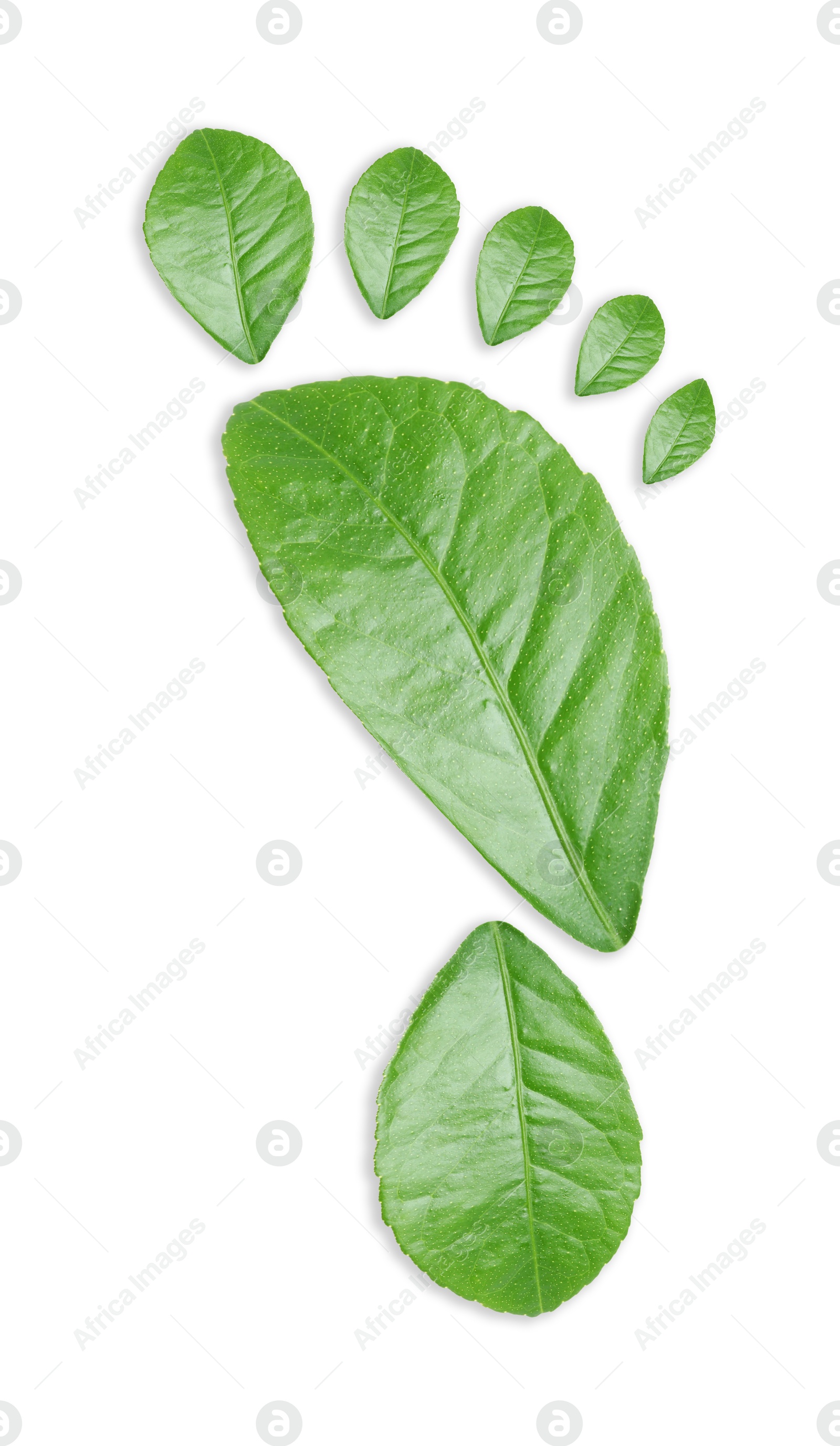 Human footprint made of green leaves on white background, top view. Environmental care, ecology protection, reducing CO2 emission Image of Human footprint made of green leaves on white background, top view. Environmental care, ecology protection, reducing CO2 emission