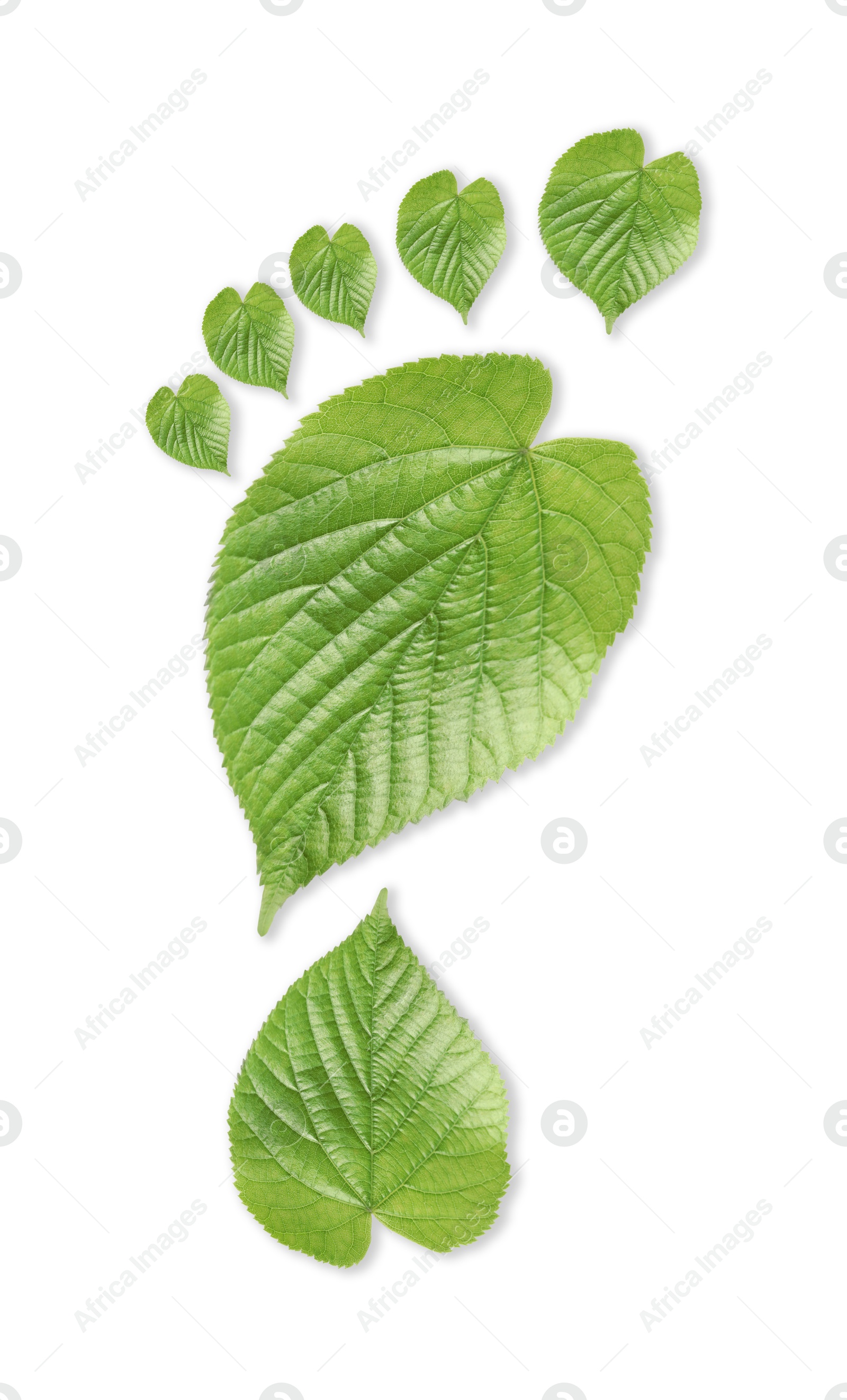 Human footprint made of green leaves on white background, top view. Environmental care, ecology protection, reducing CO2 emission Image of Human footprint made of green leaves on white background, top view. Environmental care, ecology protection, reducing CO2 emission