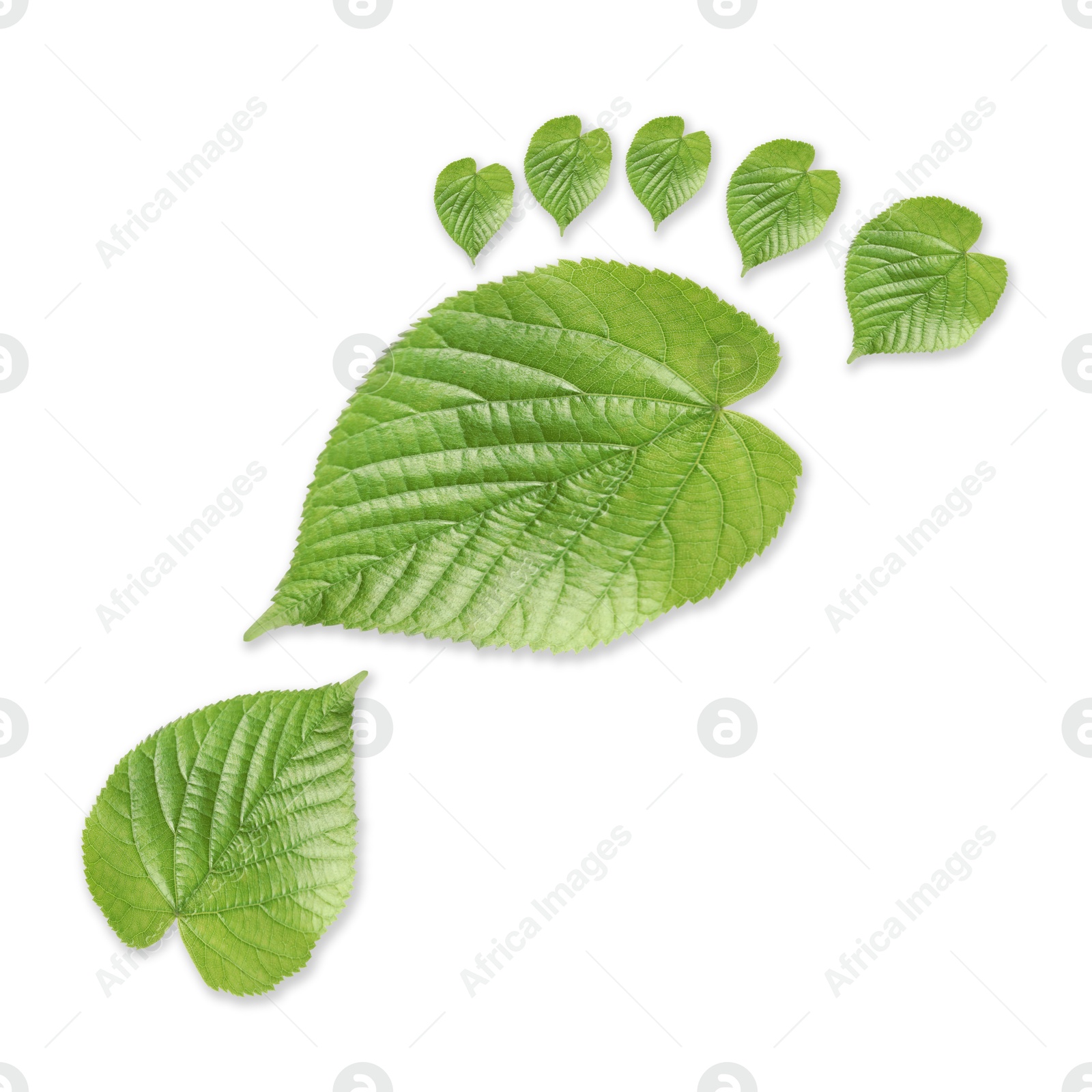Human footprint made of green leaves on white background, top view. Environmental care, ecology protection, reducing CO2 emission Image of Human footprint made of green leaves on white background, top view. Environmental care, ecology protection, reducing CO2 emission