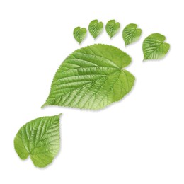 Image of Human footprint made of green leaves on white background, top view. Environmental care, ecology protection, reducing CO2 emission