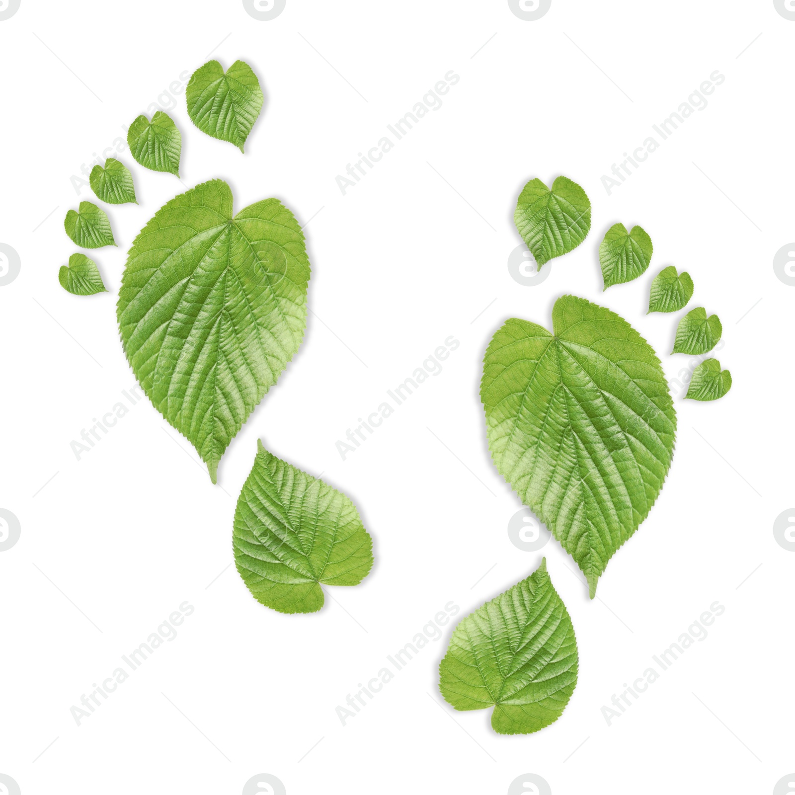 Human footprints made of green leaves on white background, top view. Environmental care, ecology protection, reducing CO2 emission Image of Human footprints made of green leaves on white background, top view. Environmental care, ecology protection, reducing CO2 emission