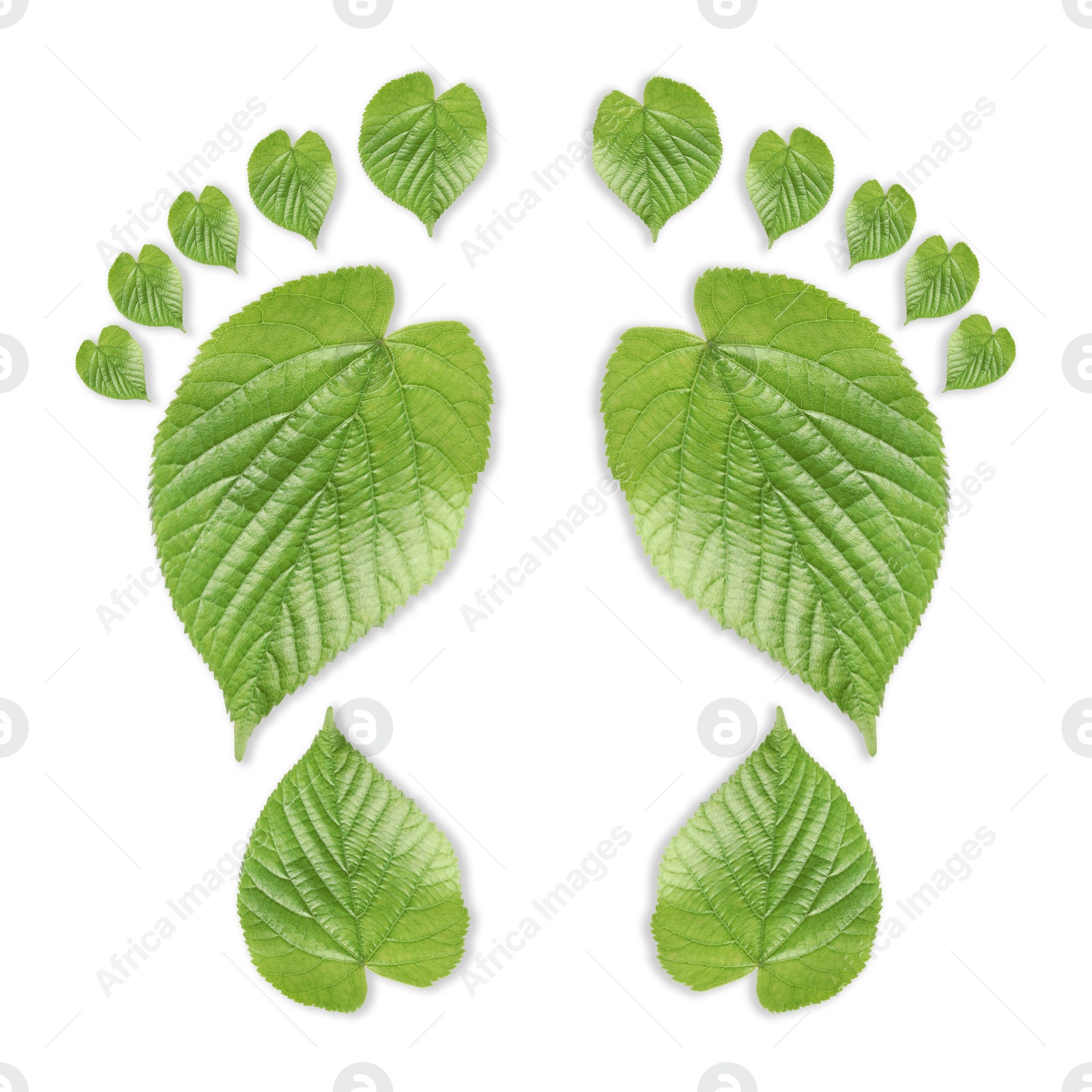 Human footprints made of green leaves on white background, top view. Environmental care, ecology protection, reducing CO2 emission Image of Human footprints made of green leaves on white background, top view. Environmental care, ecology protection, reducing CO2 emission