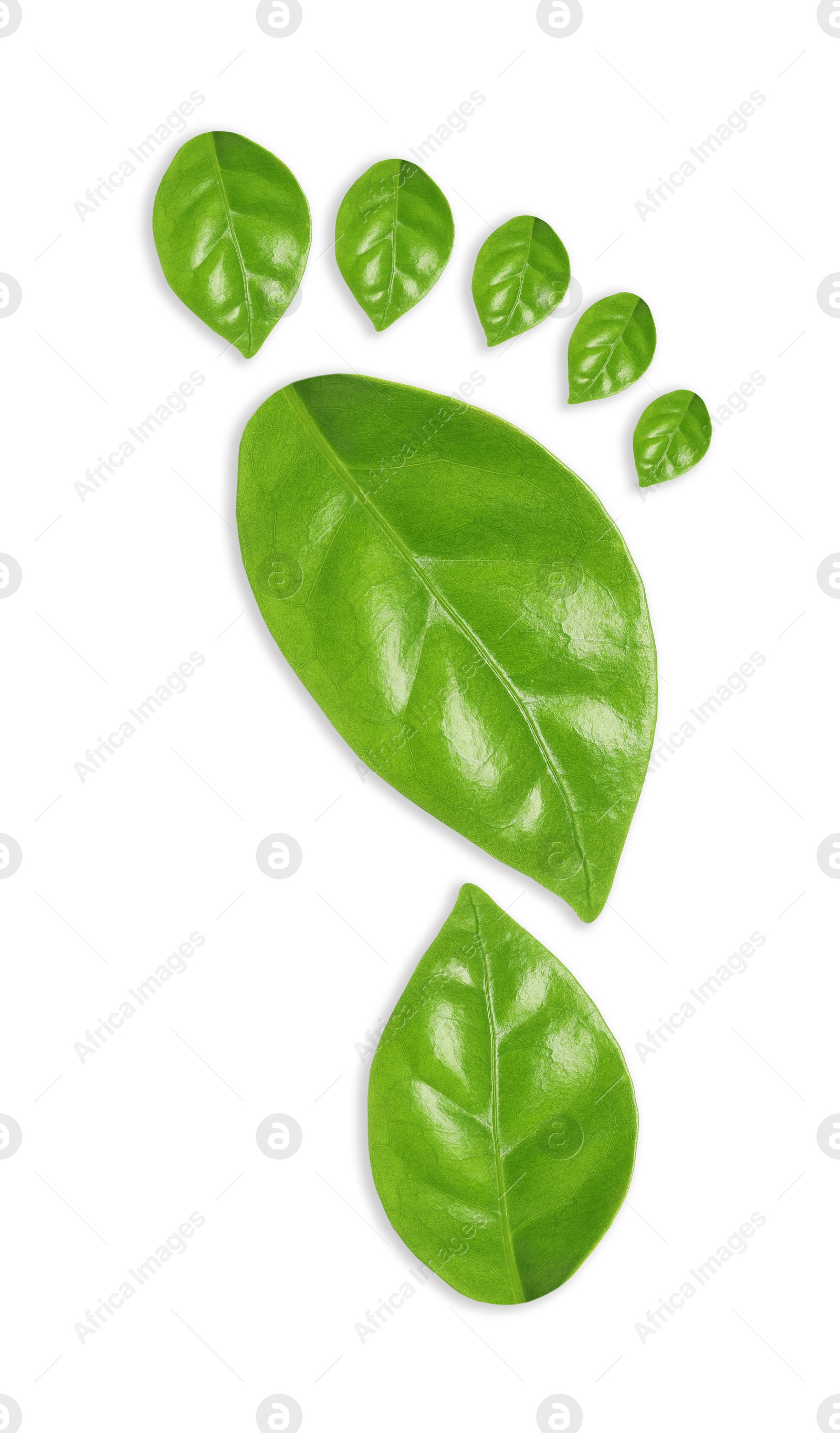 Human footprint made of green leaves on white background, top view. Environmental care, ecology protection, reducing CO2 emission Image of Human footprint made of green leaves on white background, top view. Environmental care, ecology protection, reducing CO2 emission