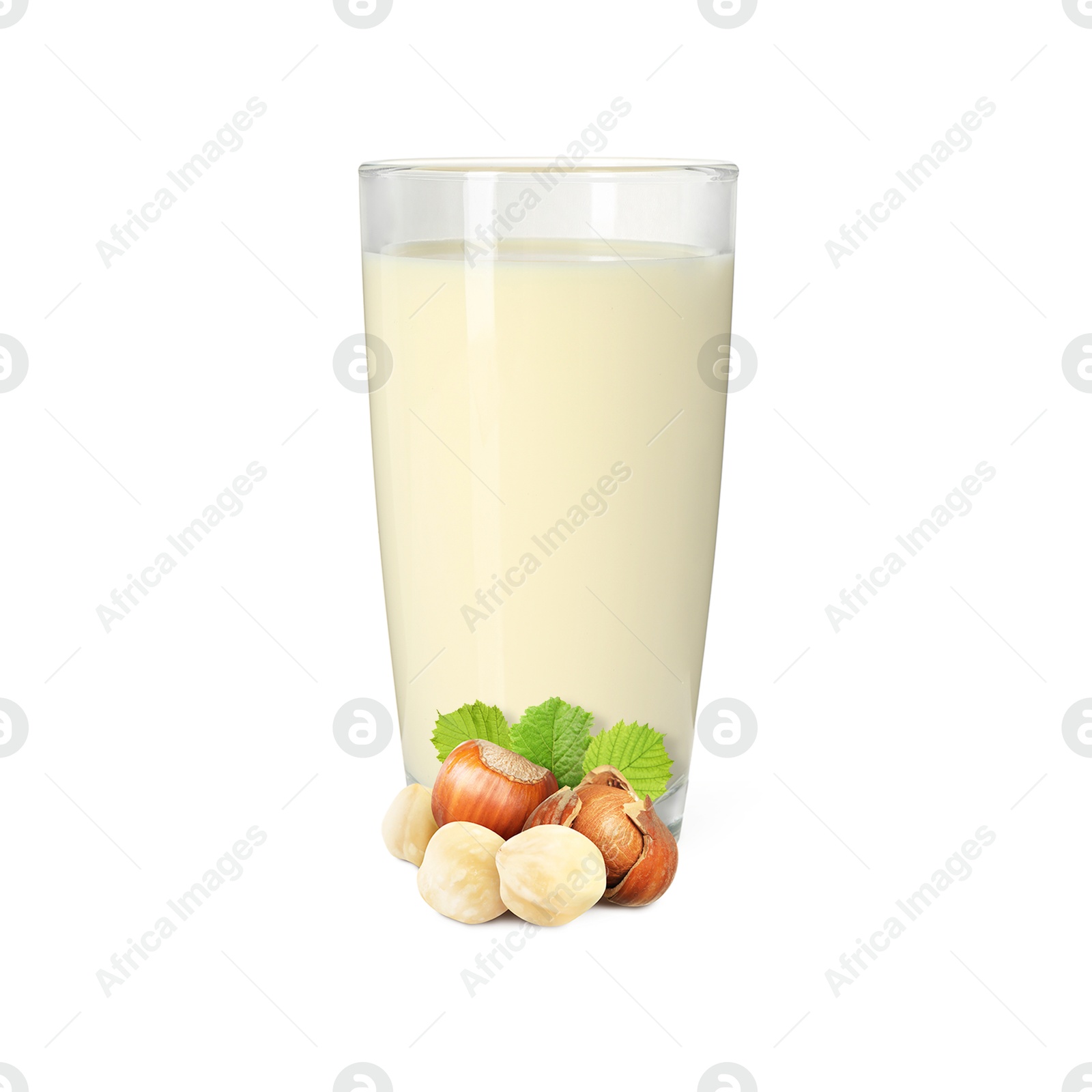 Nut milk in glass and hazelnuts isolated on white Image of Nut milk in glass and hazelnuts isolated on white