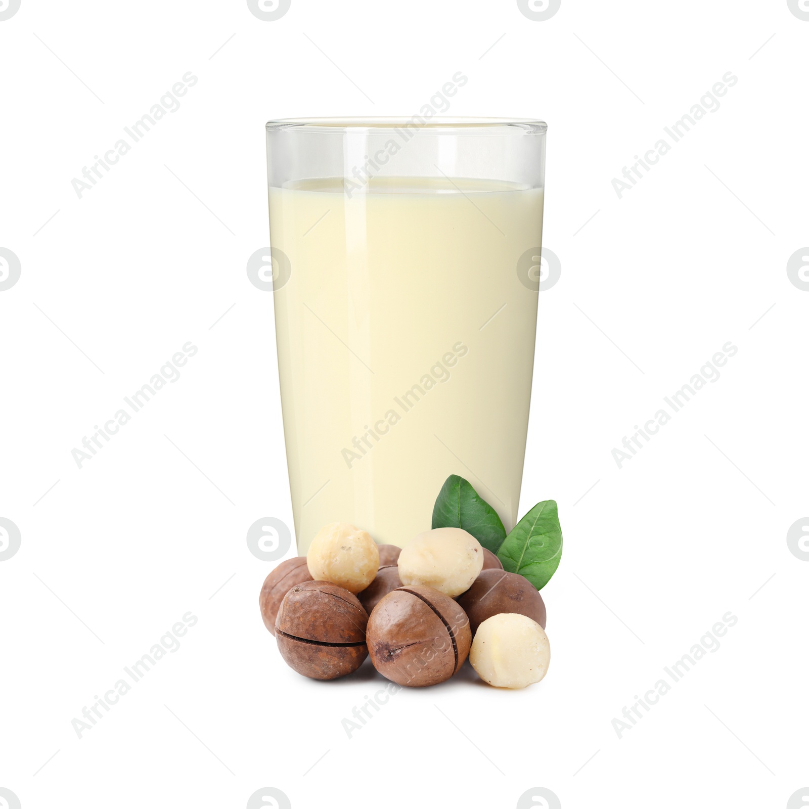Nut milk in glass and macadamias isolated on white Image of Nut milk in glass and macadamias isolated on white
