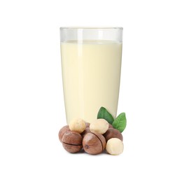Image of Nut milk in glass and macadamias isolated on white