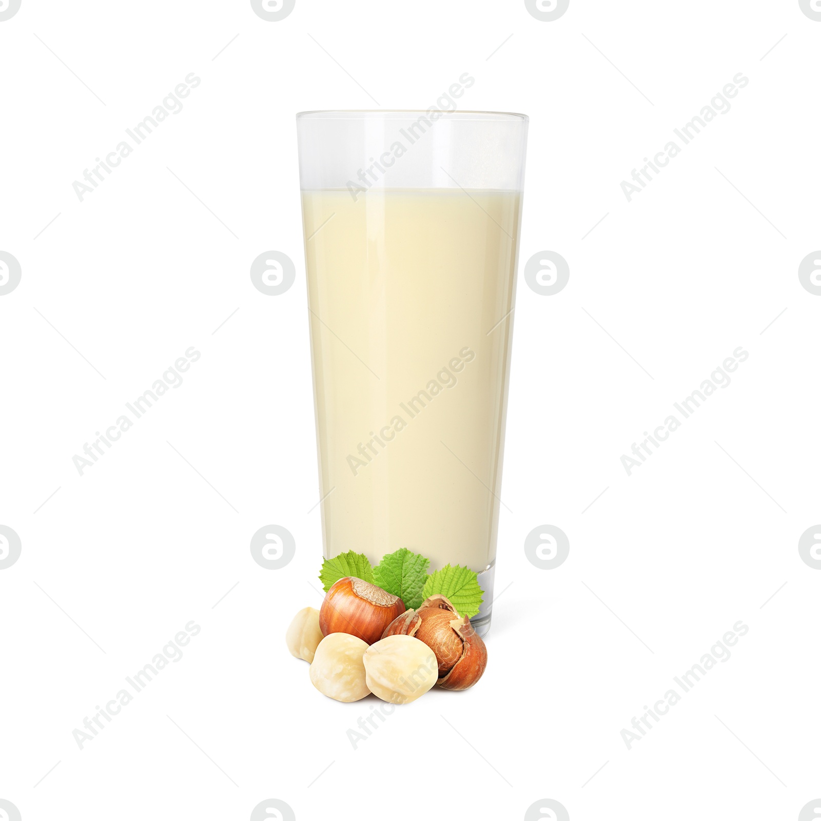 Nut milk in glass and hazelnuts isolated on white Image of Nut milk in glass and hazelnuts isolated on white