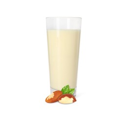 Image of Nut milk in glass and Brazil nuts isolated on white
