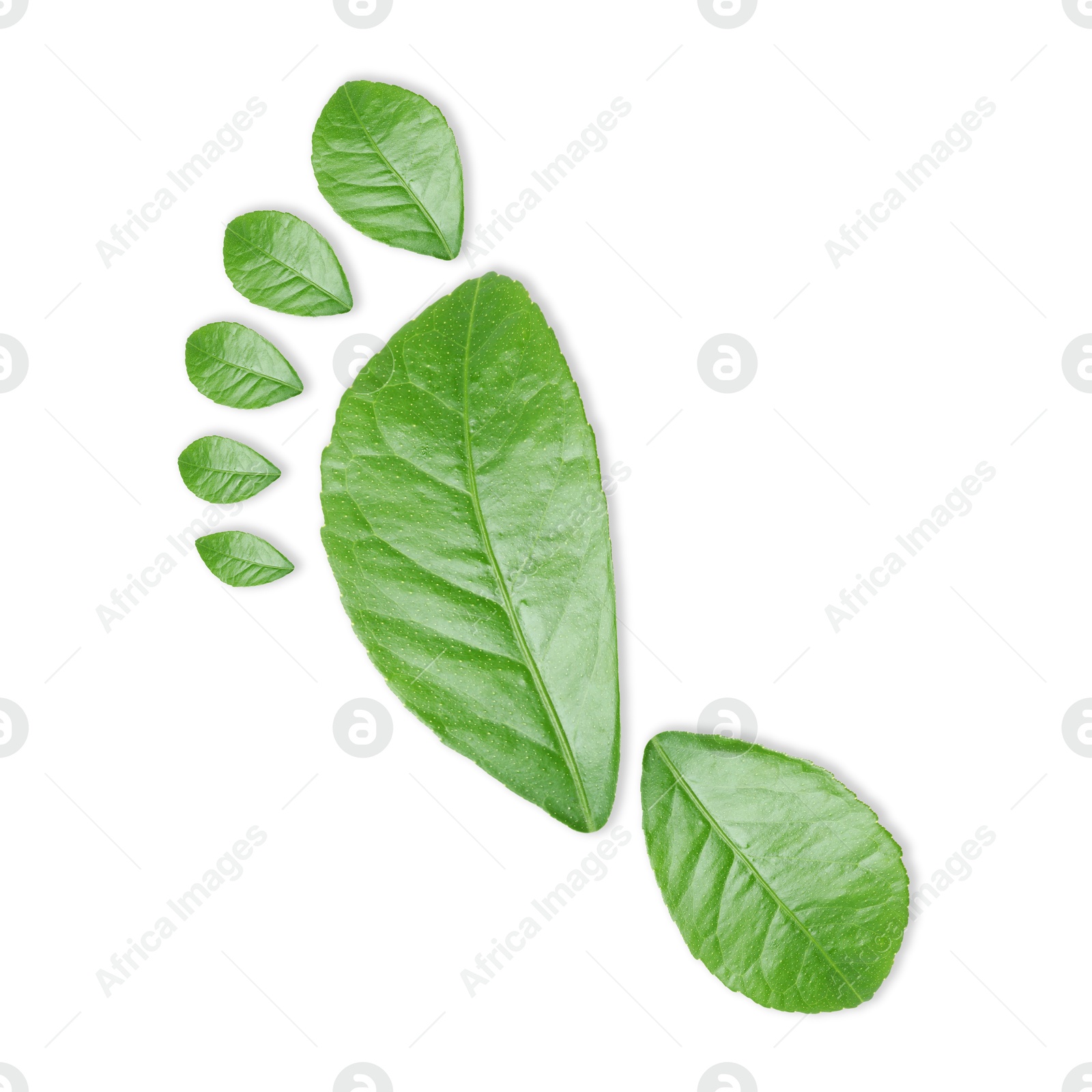 Human footprint made of green leaves on white background, top view. Environmental care, ecology protection, reducing CO2 emission Image of Human footprint made of green leaves on white background, top view. Environmental care, ecology protection, reducing CO2 emission