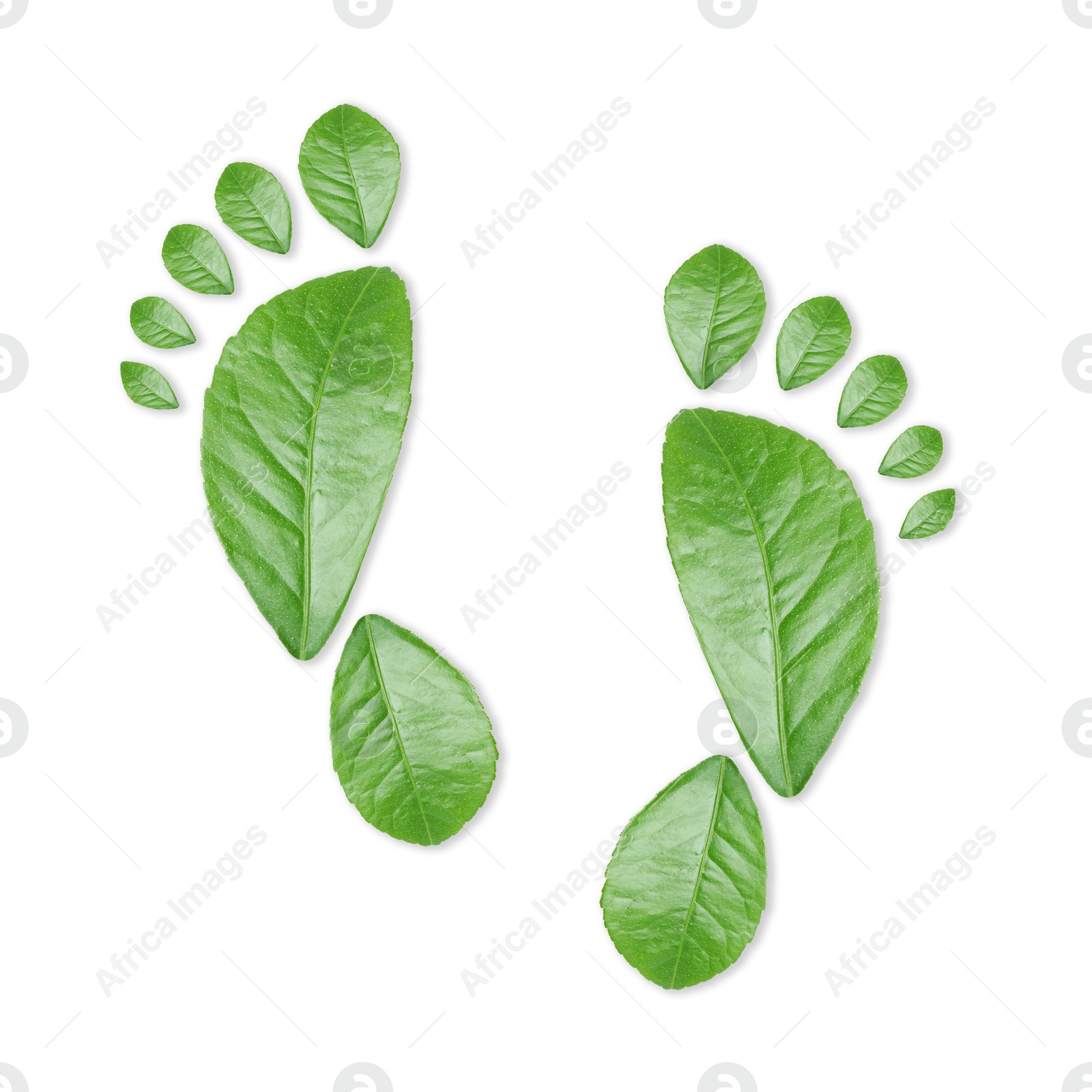 Human footprints made of green leaves on white background, top view. Environmental care, ecology protection, reducing CO2 emission Image of Human footprints made of green leaves on white background, top view. Environmental care, ecology protection, reducing CO2 emission