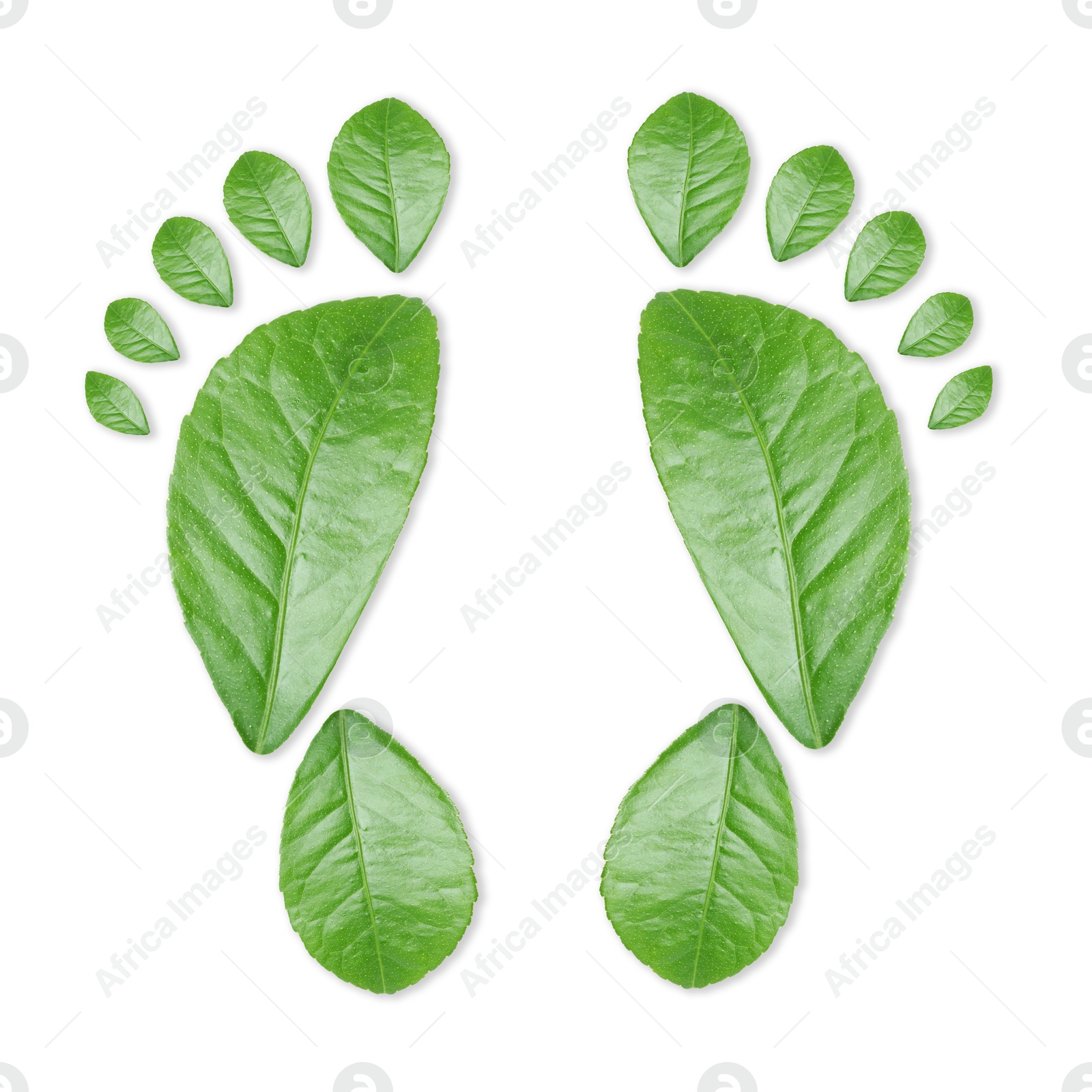 Human footprints made of green leaves on white background, top view. Environmental care, ecology protection, reducing CO2 emission Image of Human footprints made of green leaves on white background, top view. Environmental care, ecology protection, reducing CO2 emission