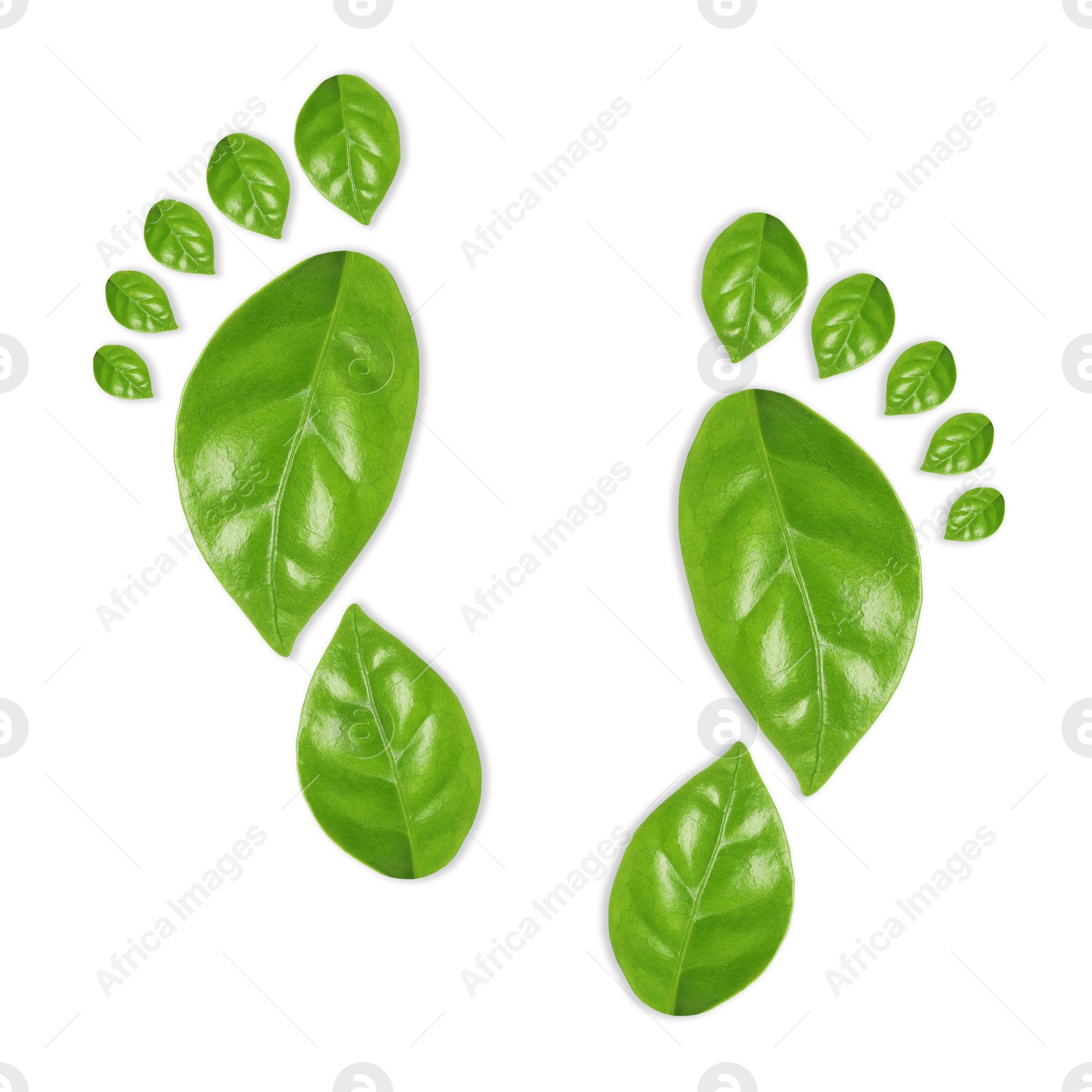Human footprints made of green leaves on white background, top view. Environmental care, ecology protection, reducing CO2 emission Image of Human footprints made of green leaves on white background, top view. Environmental care, ecology protection, reducing CO2 emission