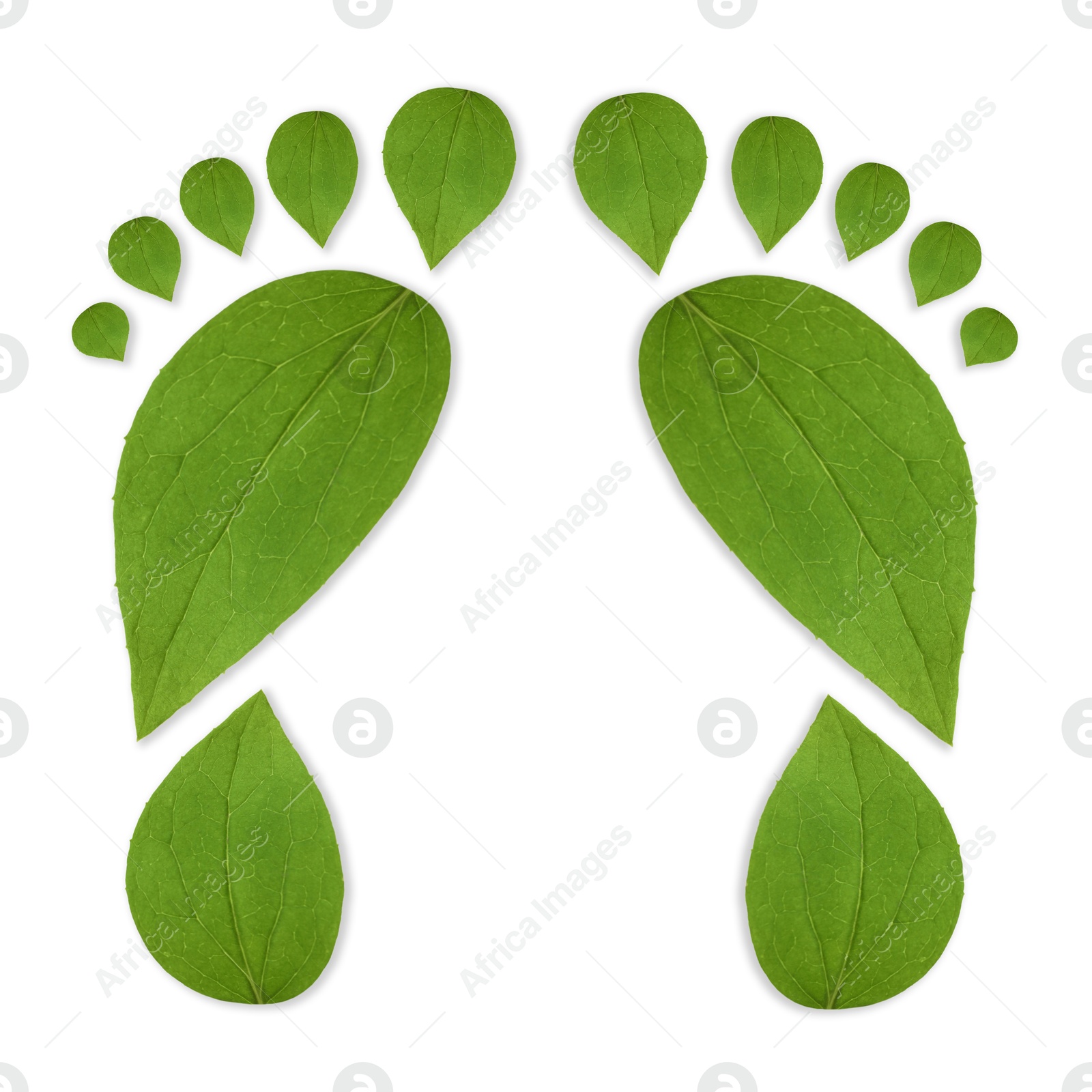 Human footprints made of green leaves on white background, top view. Environmental care, ecology protection, reducing CO2 emission Image of Human footprints made of green leaves on white background, top view. Environmental care, ecology protection, reducing CO2 emission
