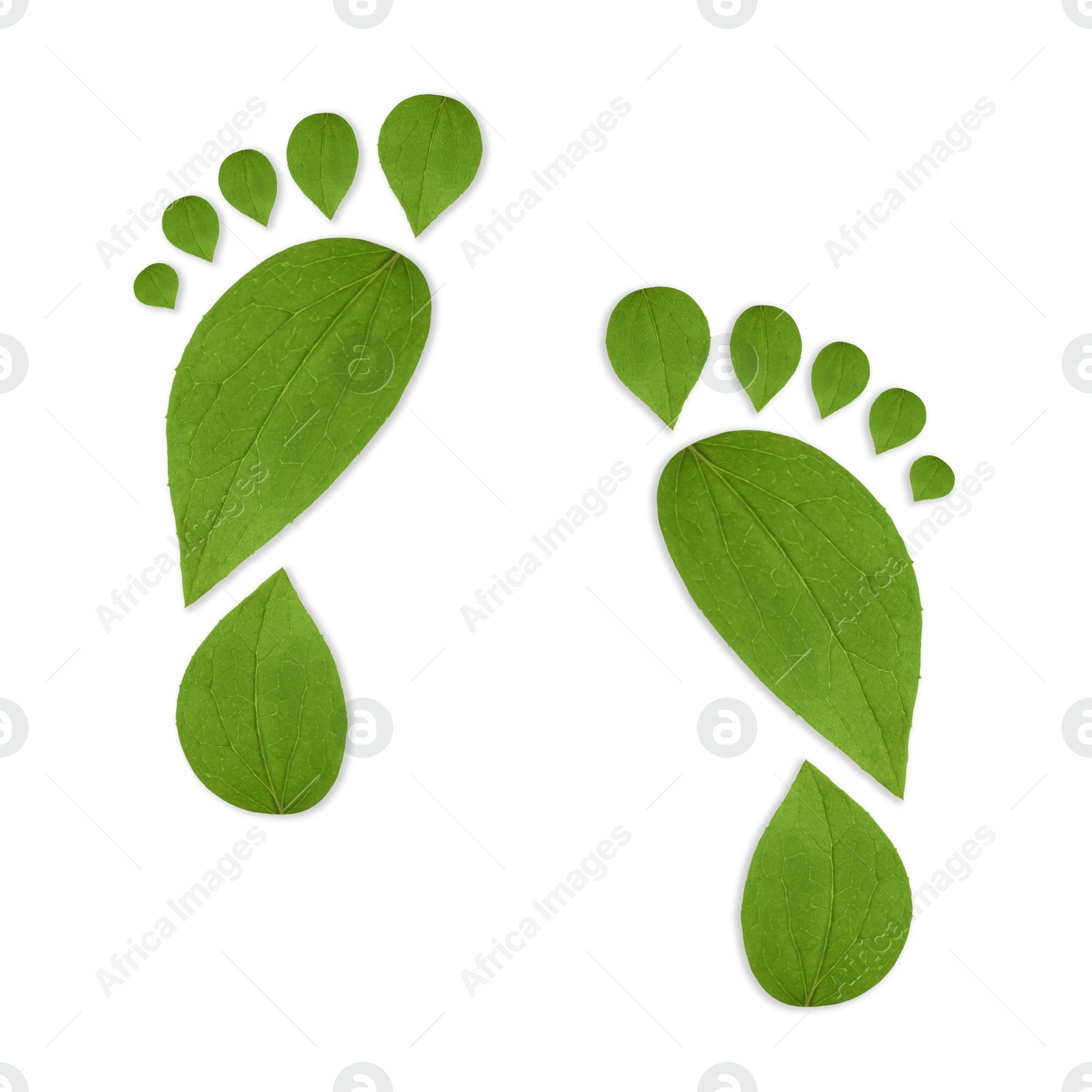 Human footprints made of green leaves on white background, top view. Environmental care, ecology protection, reducing CO2 emission Image of Human footprints made of green leaves on white background, top view. Environmental care, ecology protection, reducing CO2 emission