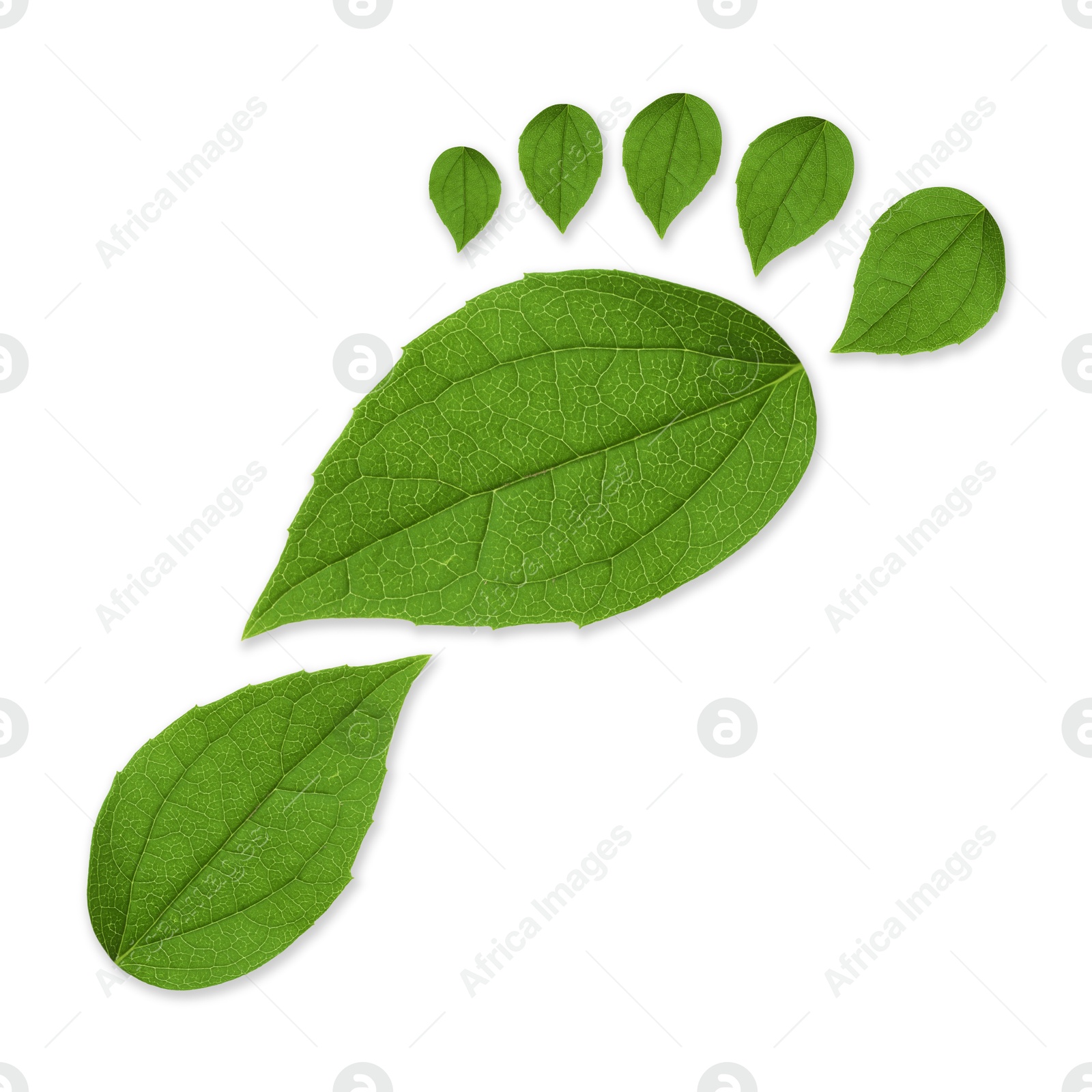 Human footprint made of green leaves on white background, top view. Environmental care, ecology protection, reducing CO2 emission Image of Human footprint made of green leaves on white background, top view. Environmental care, ecology protection, reducing CO2 emission
