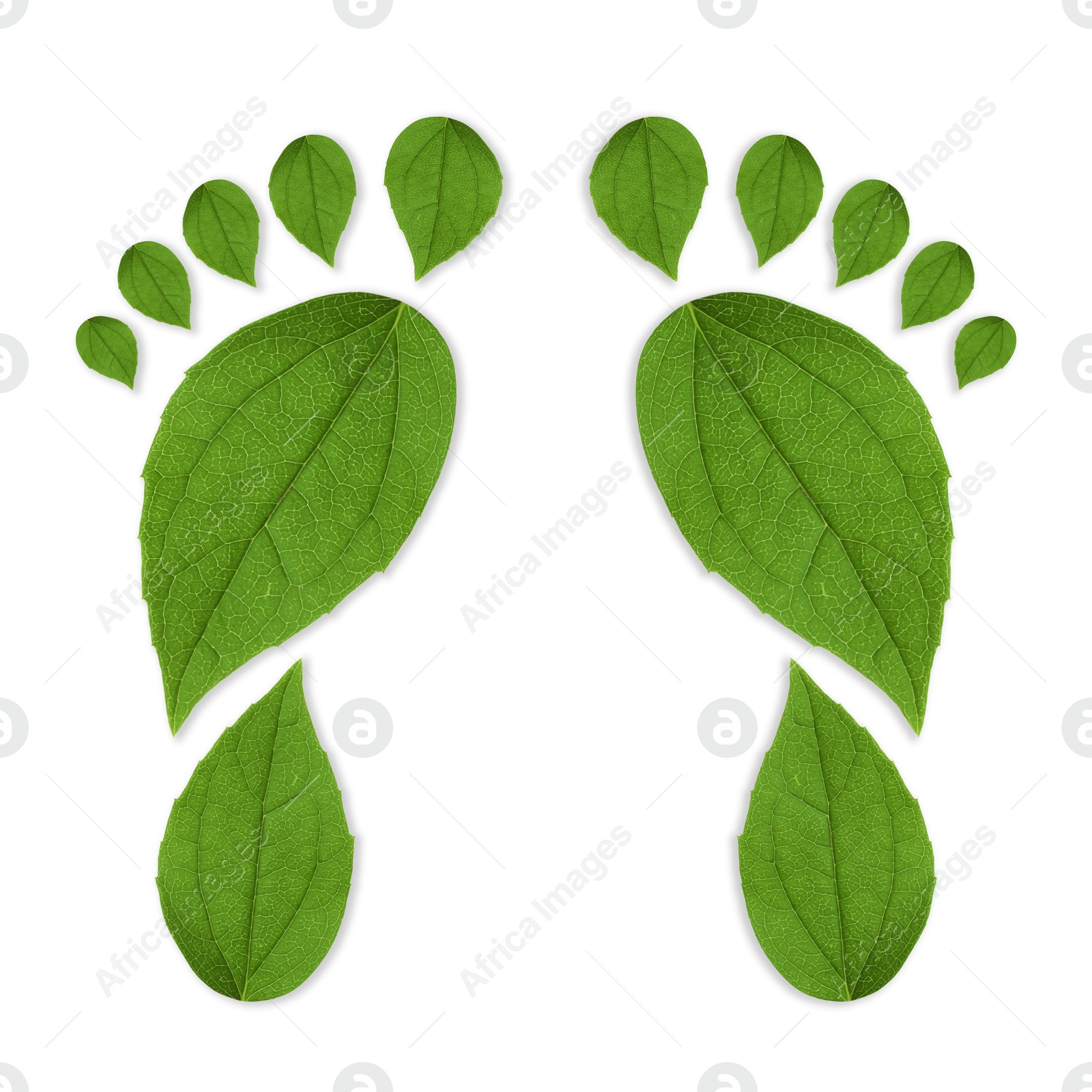 Human footprints made of green leaves on white background, top view. Environmental care, ecology protection, reducing CO2 emission Image of Human footprints made of green leaves on white background, top view. Environmental care, ecology protection, reducing CO2 emission