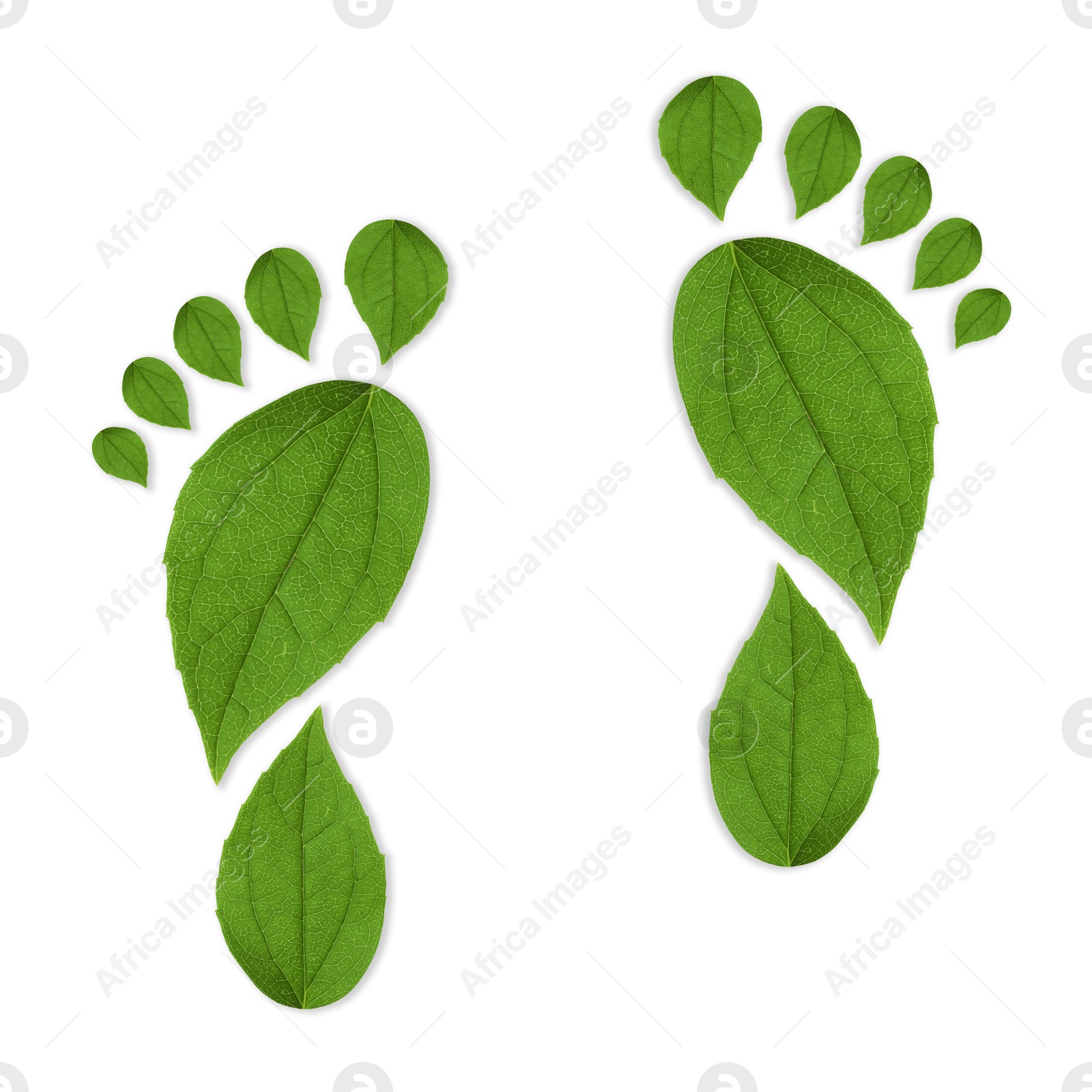 Human footprints made of green leaves on white background, top view. Environmental care, ecology protection, reducing CO2 emission Image of Human footprints made of green leaves on white background, top view. Environmental care, ecology protection, reducing CO2 emission