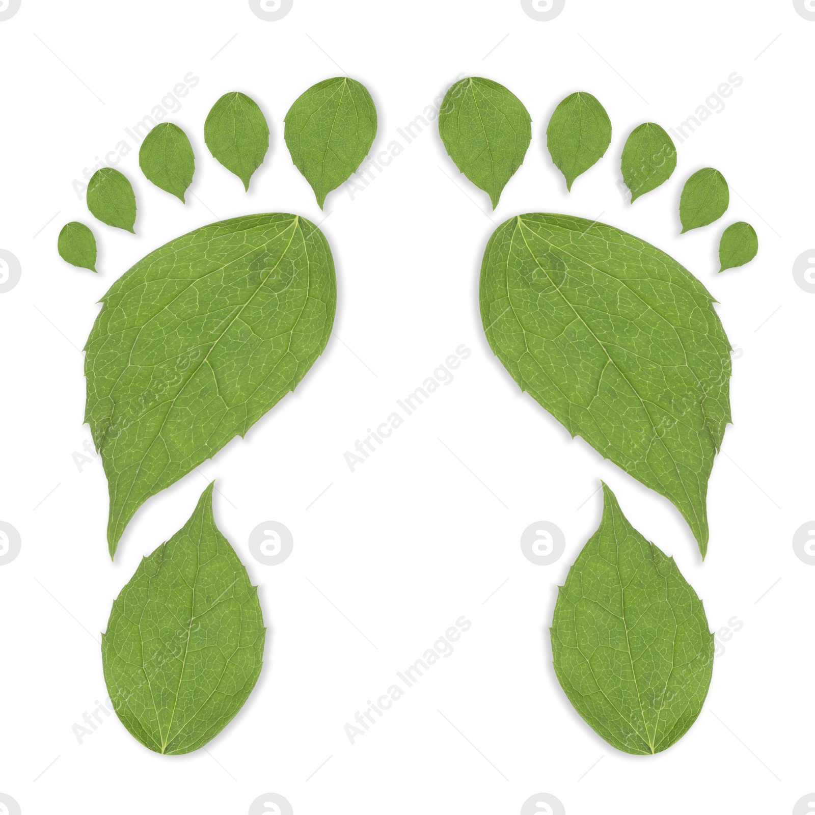 Human footprints made of green leaves on white background, top view. Environmental care, ecology protection, reducing CO2 emission Image of Human footprints made of green leaves on white background, top view. Environmental care, ecology protection, reducing CO2 emission