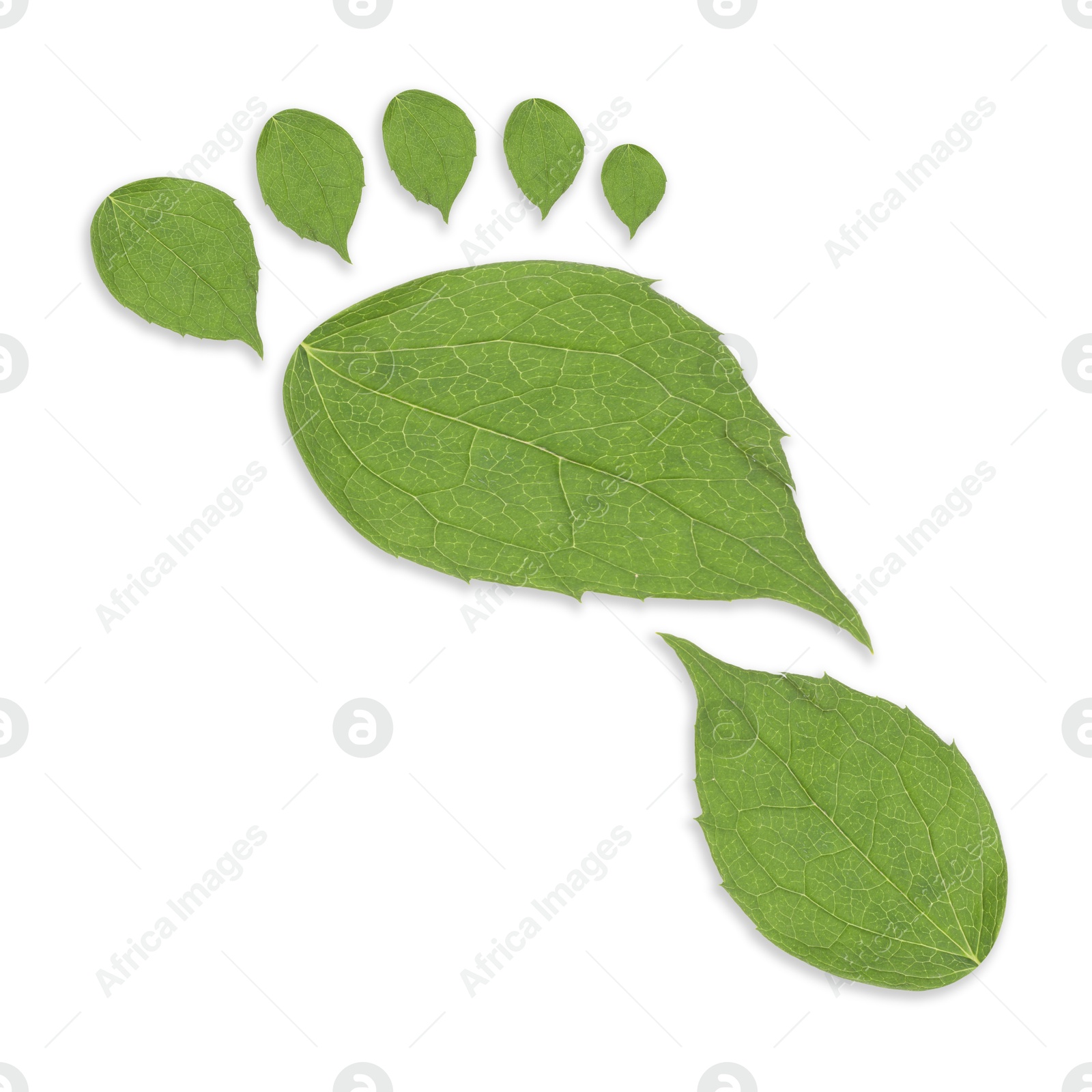 Human footprint made of green leaves on white background, top view. Environmental care, ecology protection, reducing CO2 emission Image of Human footprint made of green leaves on white background, top view. Environmental care, ecology protection, reducing CO2 emission